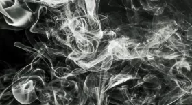 certain jobs have an increased risk of toxic exposure