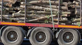 truck overloaded with logs can cause accidents