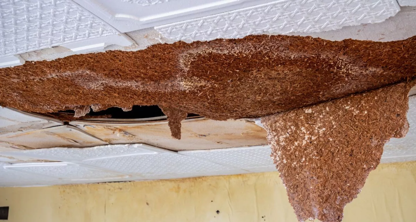 CT landlords who refuse to repair damage could be negligent