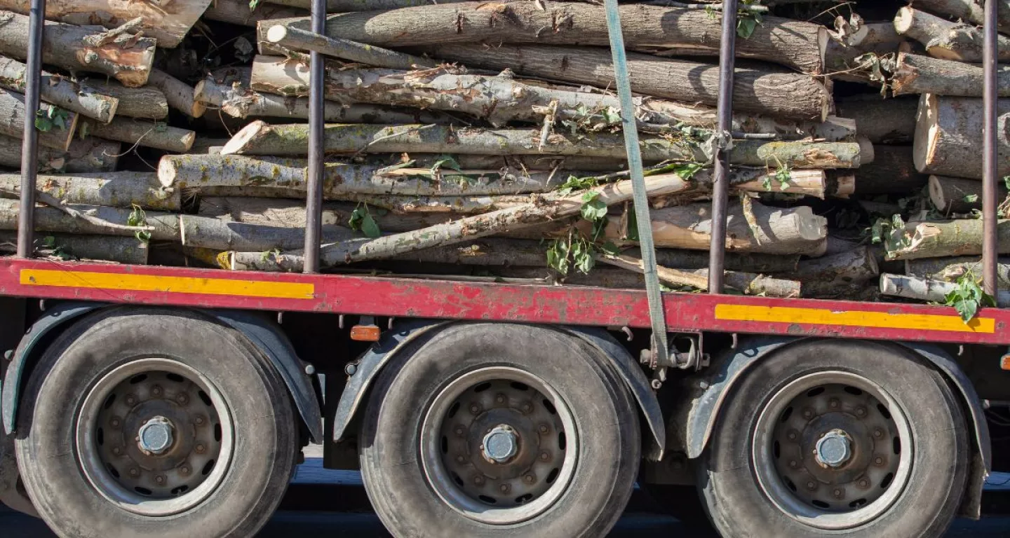 truck overloaded with logs can cause accidents