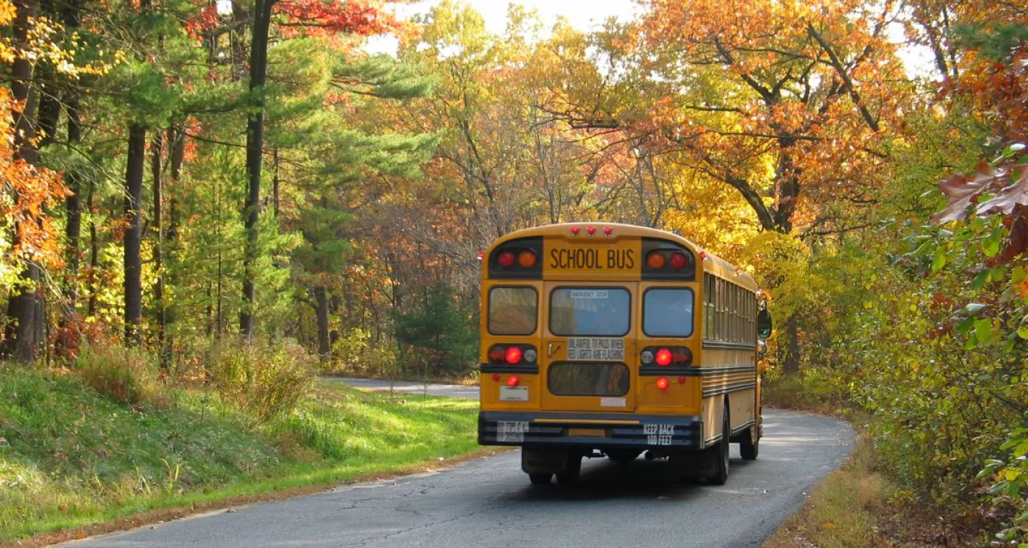 school bus back to school driving tips