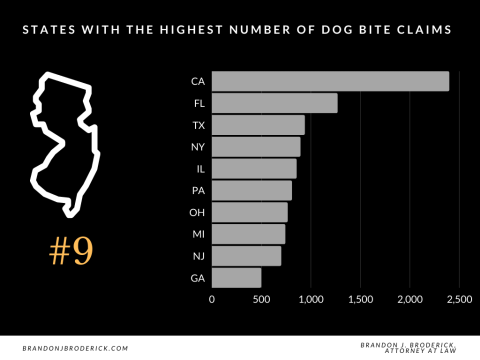 NJ dog bite claim stats